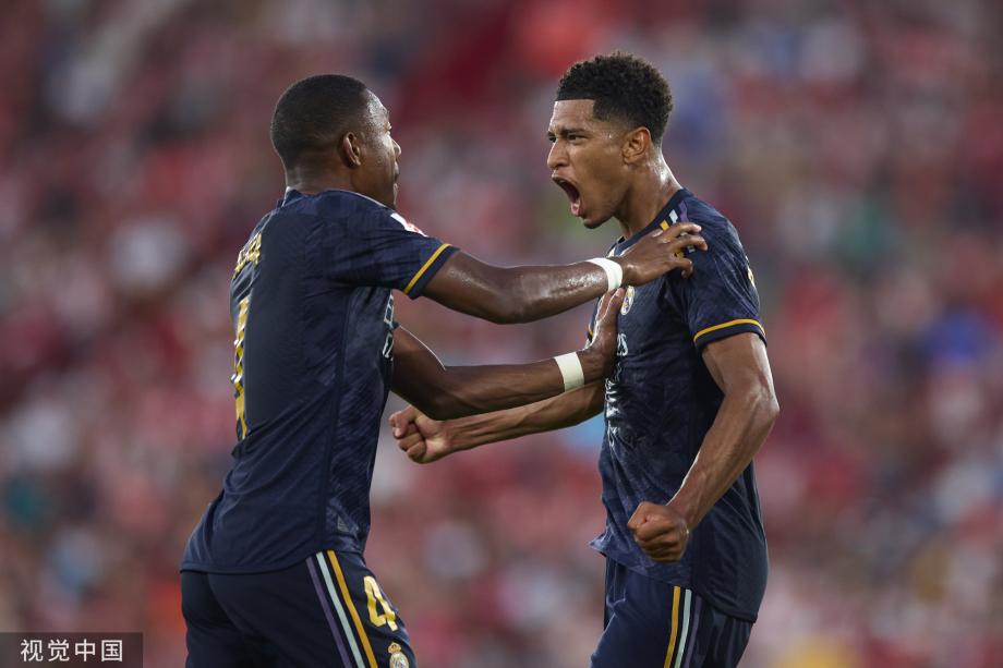 拘捕了数百 拘捕了数百