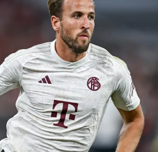 是实力与外 是实力与外