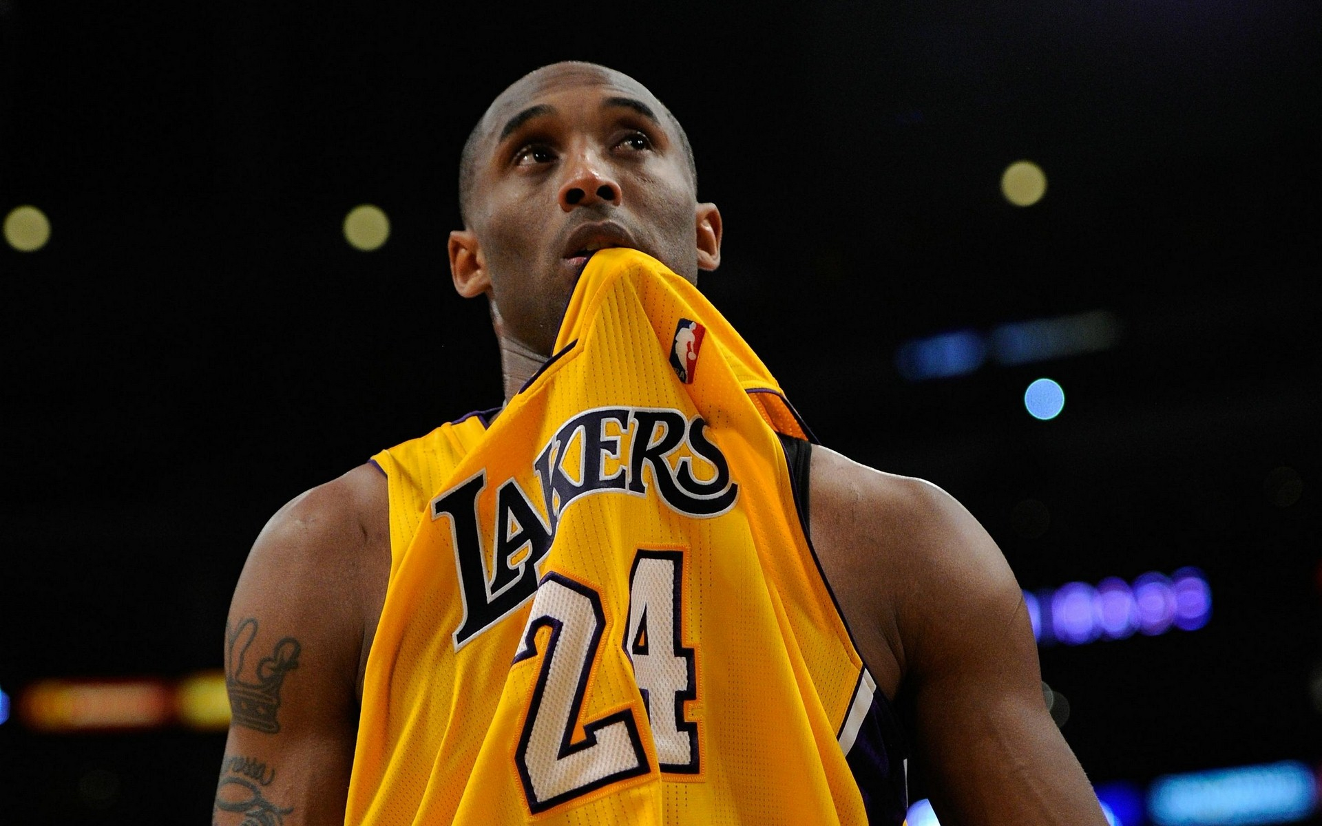 风靡全球的 风靡全球的